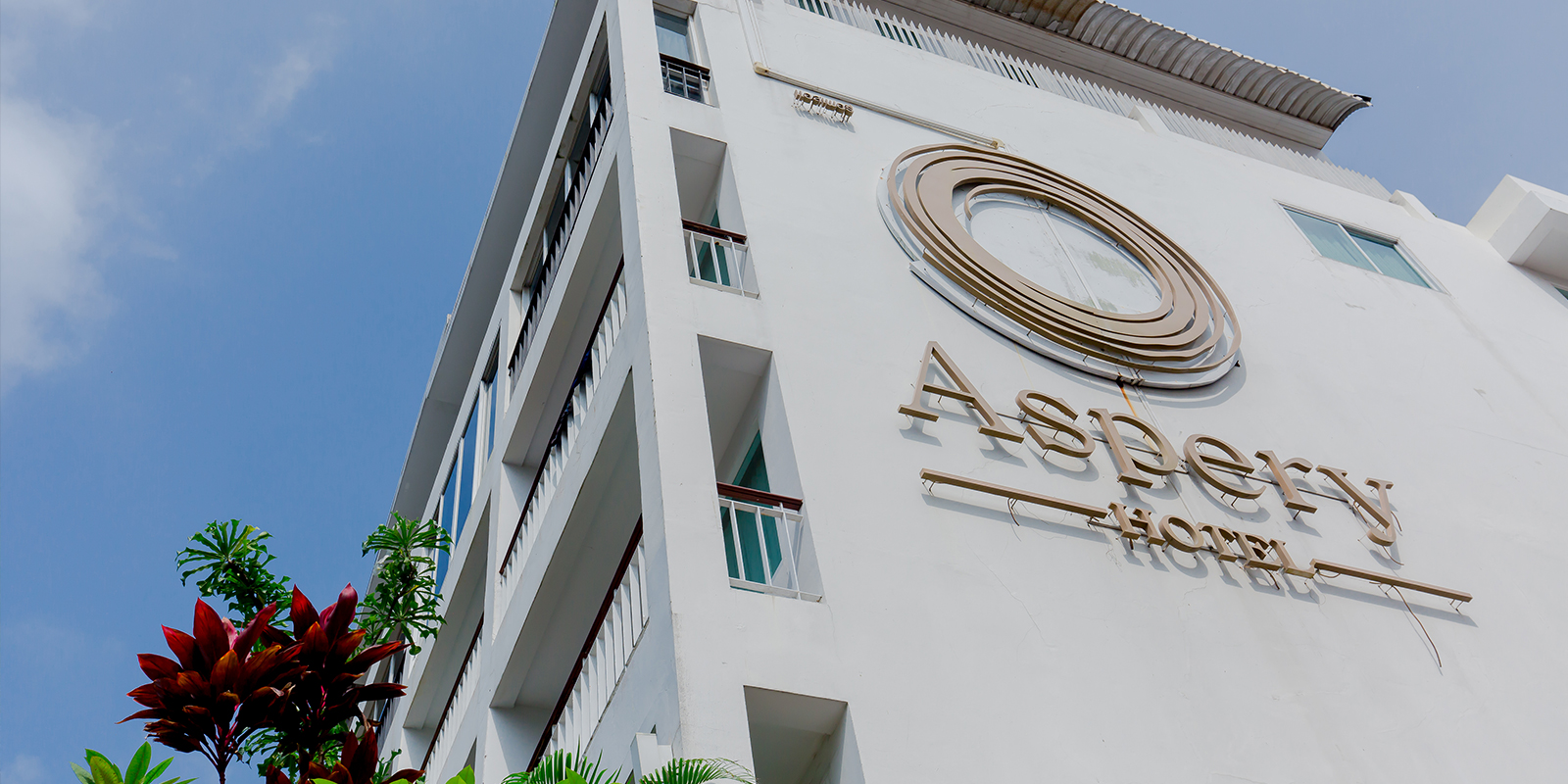 Over View Aspery Hotel Patgon Beach